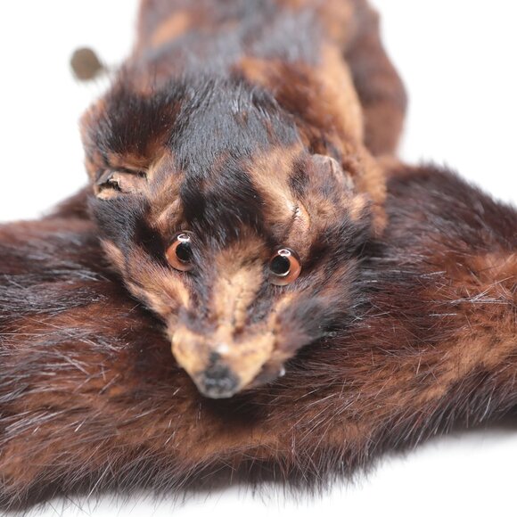 Vintage Mink Fur Stoles Full Pelts Bodies Wraps Brown Mid Century Old Money - Picture 4 of 14